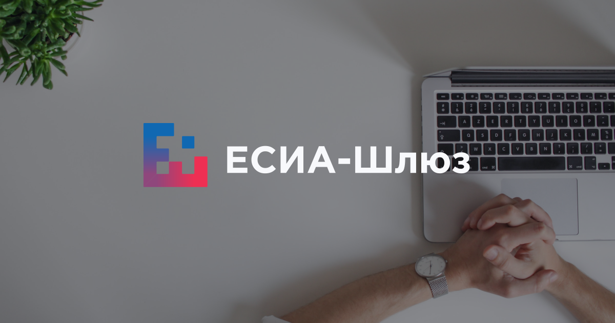 ЕСИА шлюз | Платформа "ЕСИА шлюз"